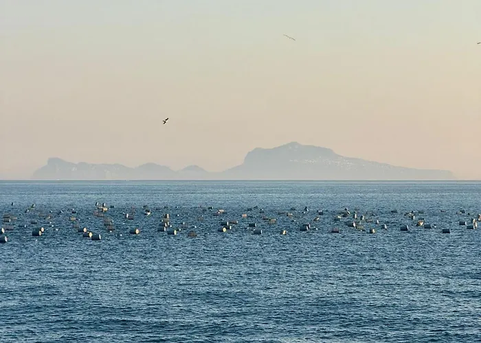 Casa D10s Centro Spagnoli 公寓