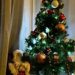 Apartman Casa D10s Centro Spagnoli