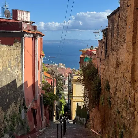 Casa D10s Centro Spagnoli 公寓 *
